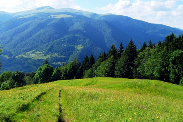 Зображення до Вихідні в Закарпатті