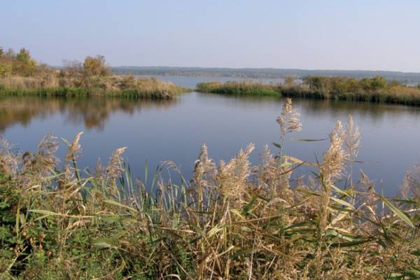 Зображення до Південна Одіссея