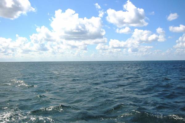 Зображення до Відпочинок в Залізному Порту