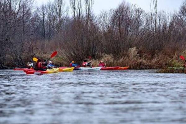 Зображення до Сплав Чернігівщиною