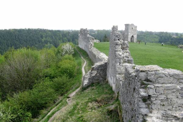Image description